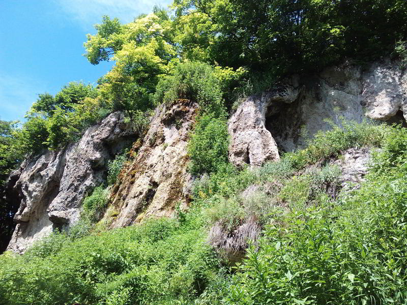 Вид на скелі